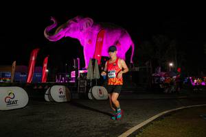 BIB: 
                            <button type="button" onclick="openModal(26534122)" class="btn btn-primary btn-sm float-right btn-popup" data-toggle="modal" data-target=".modal-high-quality">
                        <i class="fas fa-shopping-cart"></i> Add to Cart
                    </button>
                                            <button type="button" onclick="isThisMe(26534122, true)" class="btn btn-success btn-sm float-right btn-popup btn-isme hidden" data-toggle="tooltip" data-placement="bottom" title="นี่คือรูปของคุณใช่ไหม คลิกที่นี่เพื่อเอาเข้าอัลบั้ม">
                        <i class="fas fa-plus"></i> Add to album
                    </button>
                    <button type="button" onclick="isThisMe(26534122, false)" class="btn btn-warning btn-sm float-right btn-popup btn-isnotme hidden">
                        <i class="fas fa-ban"></i> Remove from album
                    </button>